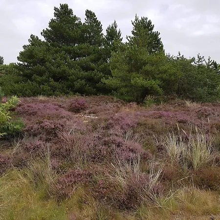 4 Person In Romo-by Traum Daire *