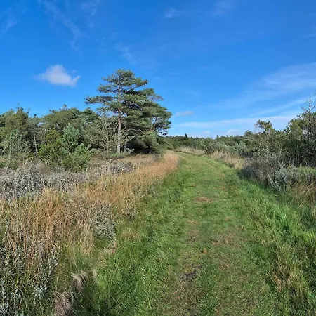 4 Person In Romo-by Traum *