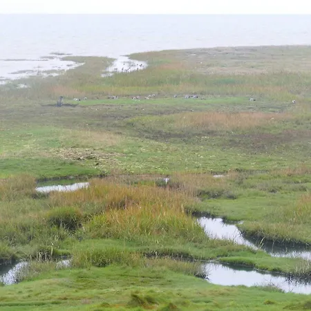 Apartment 4 Person In Romo-by Traum