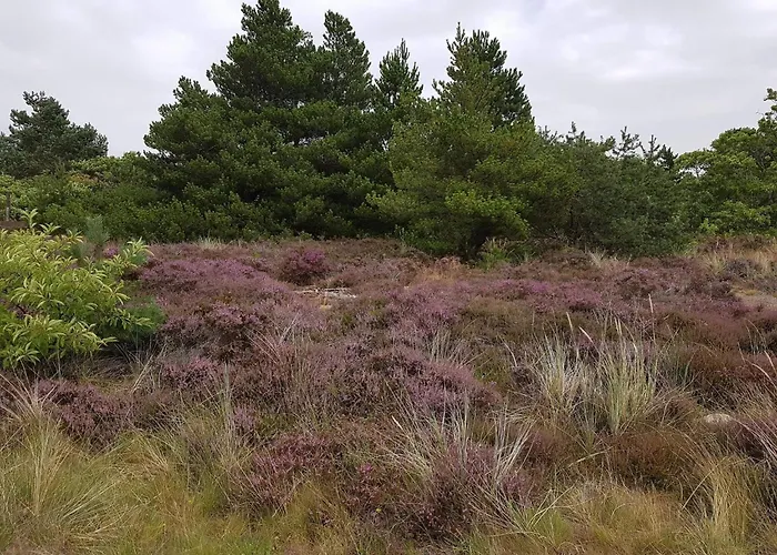 4 Person In Romo-by Traum Διαμέρισμα *