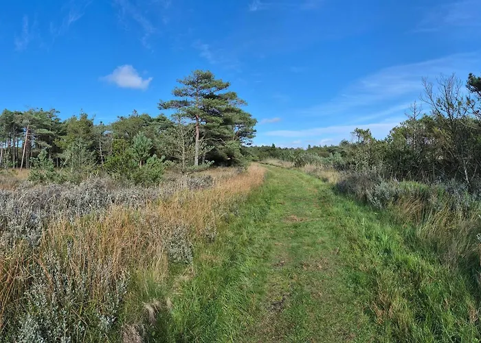 4 Person In Romo-by Traum *