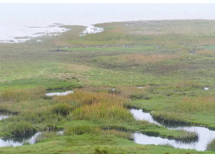 Διαμέρισμα 4 Person In Romo-by Traum