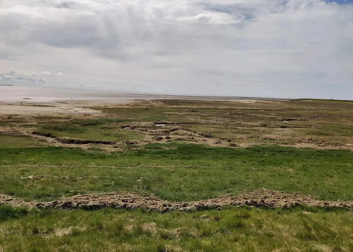 4 Person In Romo-by Traum