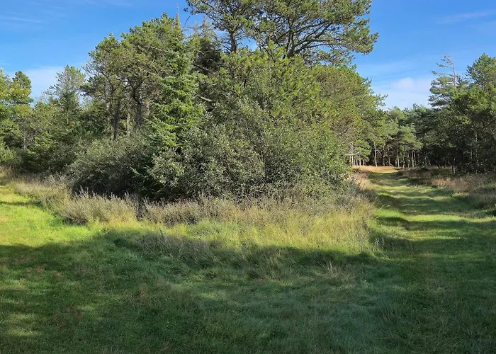 4 Person In Romo-by Traum *